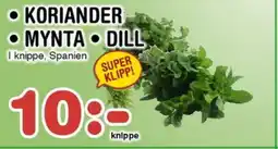 Nya Pulsen Koriander • Mynta • Dill erbjuda