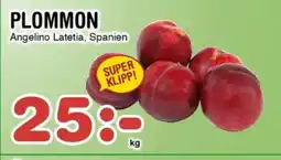 Nya Pulsen Plommon erbjuda