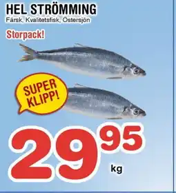 Nya Pulsen Hel strömming erbjuda