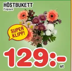 Nya Pulsen Höstbukett erbjuda