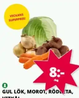 Tempo Gul lök, moro1, rödl eta, erbjuda