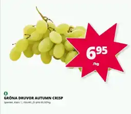 Tempo Gröna druvor autumn crisp erbjuda