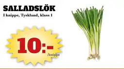 Bonum Matmarknad Salladslök erbjuda