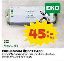 Coop EKOLÓGICKA ÄGG 12-PACK erbjuda