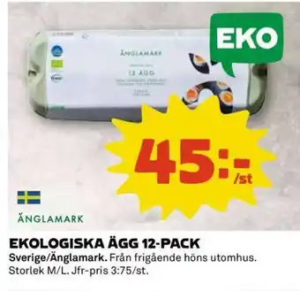 Coop EKOLÓGICKA ÄGG 12-PACK erbjuda