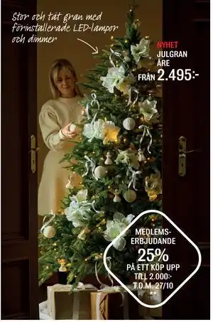 JULGRAN ÅRE