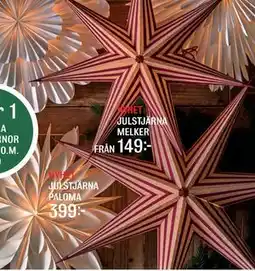 Mio JULSTJÄRNA MELKER erbjuda