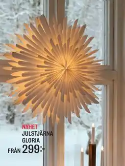 Mio JULSTJÄRNA GLORIA erbjuda