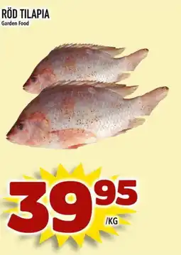 Prisma Mat Röd tilapia garden food erbjuda