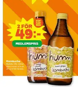 Stora Coop Kombucha, Medlemspris erbjuda