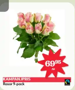 Hemköp Rosor 9-pack erbjuda