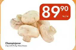 Snabbgross Champinjoner erbjuda