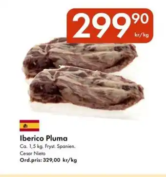 Snabbgross Iberico Pluma erbjuda