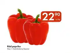 Snabbgross Röd paprika erbjuda