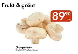 Snabbgross Champinjoner erbjuda