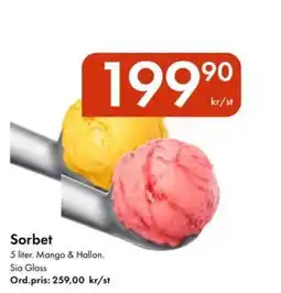 Snabbgross Sorbet erbjuda