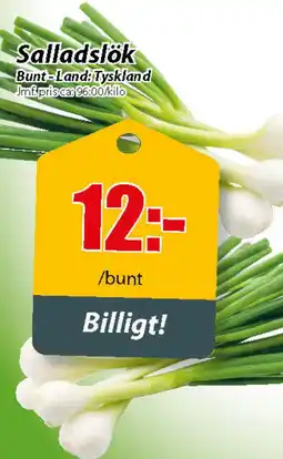 Extra Mjällby Stormarknad Salladslök erbjuda