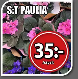 Extra Mjällby Stormarknad S:T Paulia erbjuda