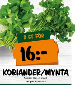 Bazaar Food market Koriander/mynta erbjuda