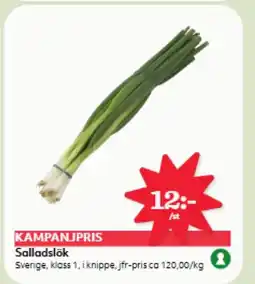 Östenssons Salladslök erbjuda