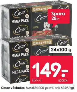 Rusta CESAR våtfoder, hund erbjuda