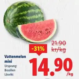 Lidl Vattenmelon mini, SEK 14.9 erbjuda