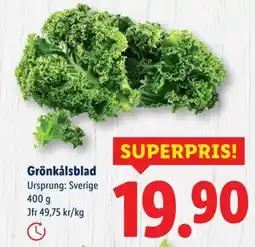 Lidl Grönkålsblad, SEK 19.9 erbjuda