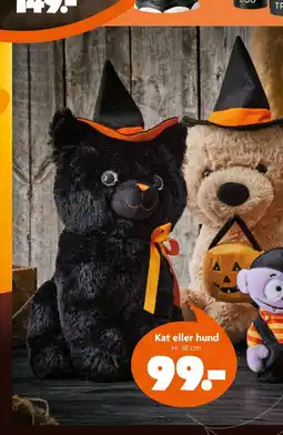 BR leksaker Kat eller hund erbjuda