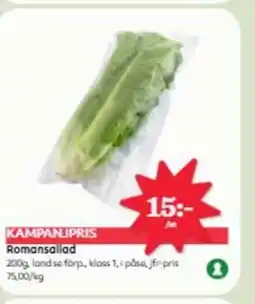 Östenssons Romansallad erbjuda