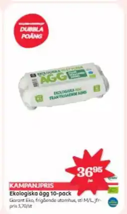 Östenssons Ekologiska ägg 10-pack erbjuda