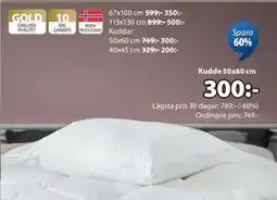 JYSK Kudde 50x60 cm, SEK 300 erbjuda