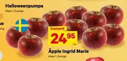 City Gross Äpple Ingrid Marie, SEK 24.95 erbjuda