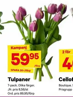City Gross Tulpaner, SEK 59.95 erbjuda