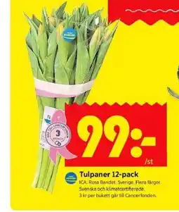 ICA Kvantum Tulpaner erbjuda