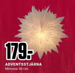 ÖoB ADVENTSSTJÄRNA erbjuda