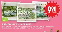 Willys EKOLOGISKA SALLADER 65G erbjuda