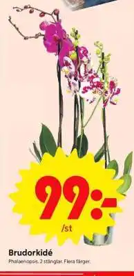 ICA Supermarket Brudorkidé erbjuda
