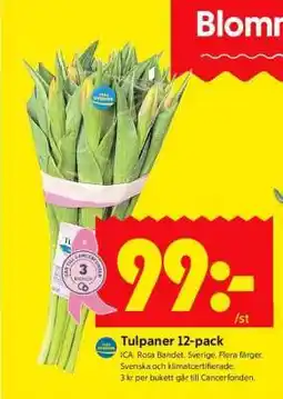 ICA Supermarket TULPANER 12-PACK erbjuda