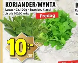 Matvärlden Tensta KORIANDER/MYNTA, SEK 10 erbjuda