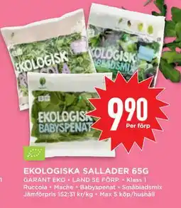 Willys EKOLOGISKA SALLADER 65G, SEK 9.9 erbjuda