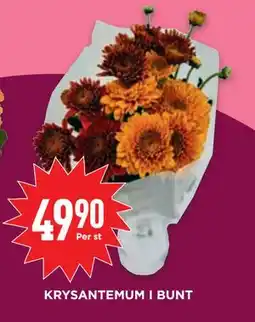 Willys KRYSANTEMUM I BUNT, SEK 49.9 erbjuda