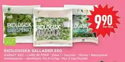 Willys Hemma EKOLOGISKA SALLADER 65G, SEK 9.9 erbjuda