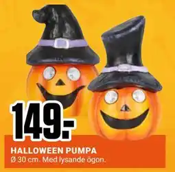ÖoB HALLOWEEN PUMPA, SEK 149 erbjuda
