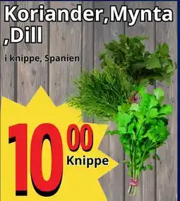 Supergrossen Koriander, Mynta ,Dill, SEK 10 erbjuda
