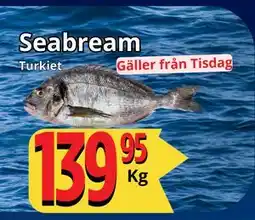 Supergrossen Seabream, SEK 139.95 erbjuda