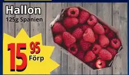 Supergrossen Hallon, SEK 15.95 erbjuda