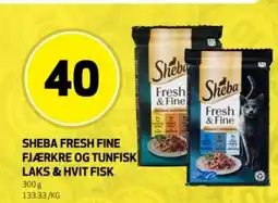 Rusta Sheba fresh fine fjærkre og tunfisk laks & hvit fisk erbjuda