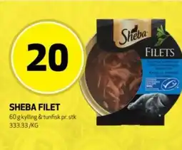 Rusta Sheba filet erbjuda