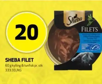 Rusta Sheba filet erbjuda