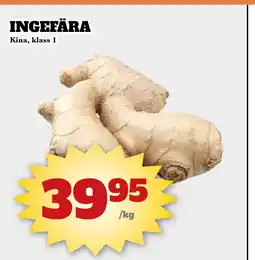 Bonum Matmarknad Ingefära erbjuda